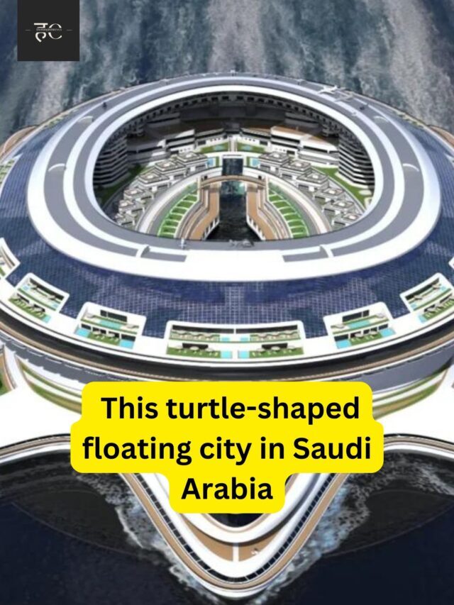 turtle shaped floating in saudi arabia